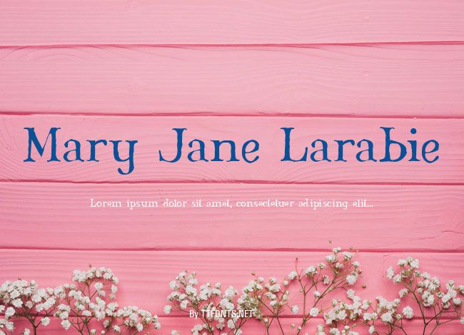 Mary Jane Larabie example